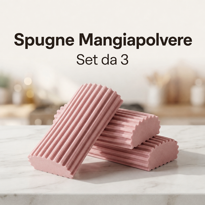 x3 · Spugne MangiaPolvere